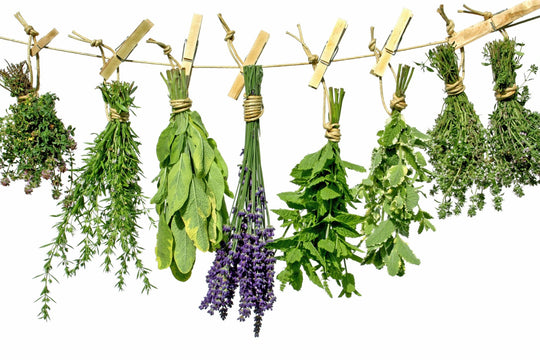 Dry Your Own Herbs