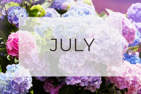 July - Plant of the Month and Top Five Gardening Tips