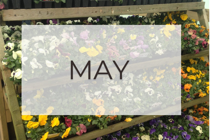 May- Plant of The Month and Top Five Gardening Tips