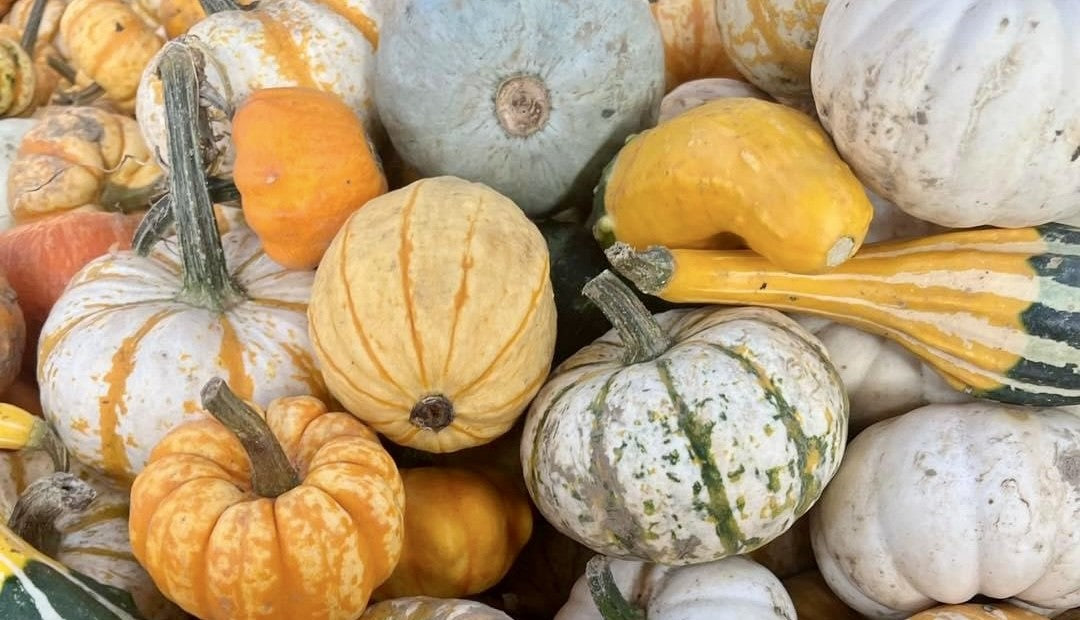 Left Over Pumpkin Ideas